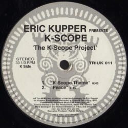 The K-Scope Project TRIUK 011